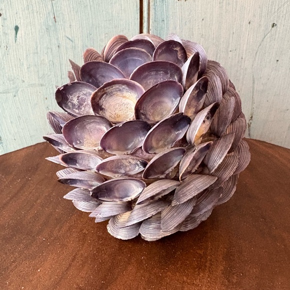 Pier 1 accent piece made entirely of small  seashells to enjoy anywhere - Picture 8 of 8